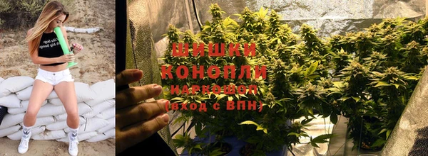ALPHA-PVP Богородицк