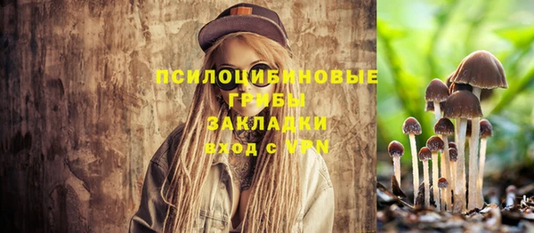 кокаин колумбия Богданович