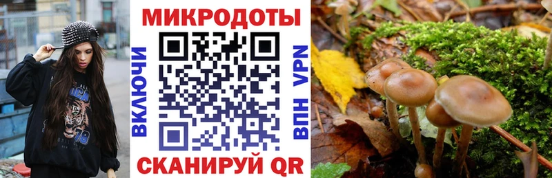 Галлюциногенные грибы Psilocybine cubensis  Купить где  Ермолино 